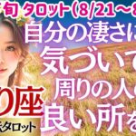 🐱【♏蠍座さん💖8月下旬・後半運勢】〈自分が凄い才能や能力を持っていることを自覚して👍その上で周りの人も認めていこう😊良い人間関係を💖〉 人生幸転タロットリーディング 占い さそり座 太陽星座・月星座