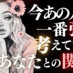 ➳❤︎恋愛タロット:: 今あの人が一番強く考えている事、教えてあげます🔥 水瓶座満月にあの人は…🙀❤️ 二人のターニングポイントDAY付✨ #pickacard  (2025/8/9)