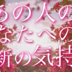 【恋愛】あの人の、最新のお気持ち😵💘✨タロットリーディング