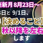 乙女座新月🌙【8 /23・9 /1】に【決めること】が、この秋以降を左右します‼️
