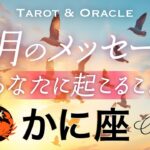 【かに座♋️9月運勢】辛かった蟹座さんへ😢忍耐がカードに表れてます。それももう終わり👏大収穫のステージへ🍂タロット＆オラクル／Tarot&Oracle card reading／Cancer