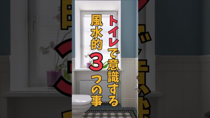 【風水】トイレで避けるべき習慣３選！運気アップの秘訣は？ #運気アップ #掃除 #トイレの神様 #金運 #健康運