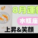 【水瓶座】8月の運勢🍀▼タロットカード&オラクルカード&ルノルマンカード占い