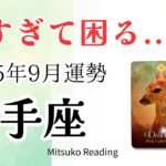 射手座9月は速すぎて困る…✨望む未来へまっすぐ進む♐️2025年9月運勢仕事恋愛人間関係【癒しのタロット個人鑑定級】