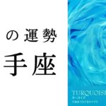 【射手座🌷9月の運勢】お盆明けしんどい人こそ見てほしい🥹後半ガラッと変化！！✨2025年タロット占い