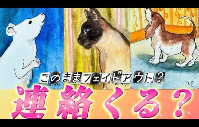 【衝撃本音🥹】あの人から連絡くる？連絡がない・遅い・少ない…あの人の本当の気持ち💗深掘り本音❤️未来の行動など　個人鑑定級✨タロット占い