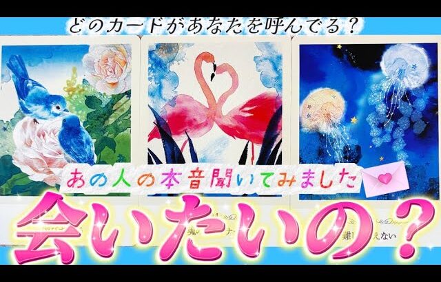 【⚠️重めあり】ついに明かされた赤裸々本音😳私に会いたいと思ってる⁉️あの人正直な気持ち💗お伝えします　個人鑑定級✨　タロット占い