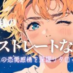 本音ド直球‼️あの人の“隠せない気持ち”💖【有料級鑑定❤︎忖度一切なし❤︎辛口あり】お相手様の言えない事まで徹底タロット