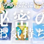 秘密です🤫【恋愛❤️】あの人があなたに言えない秘密のお気持ち【タロット🔮オラクルカード】片思い・復縁・複雑恋愛・音信不通・冷却期間・疎遠・曖昧な関係・あの人の気持ち・本音・カードリーディング・占い
