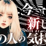 ➳❤︎恋愛タロット:: 今いちばん新しいあの人の気持ち☽*̣̩ 乙女座新月にあの人は…🙀💕 あなたに必要なアドバイス付 🍀幸せを探して🦢:: #pickacard  (2025/8/23)