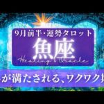【魚座】9月前半／晴れやかな時！嬉しい連絡が入ったり･偶然の再会･楽しい予定も！✨🕊🌠【タロット】【運勢】【占い】【うお座】