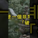 【警告】8月9日「破日」來臨！千萬別穿這3種顏色 否則霉運纏身整月！#端午#五行衣服#十二生肖#風水#運氣#財運 #五行衣服 #正能量 #家居風水宜忌 #五行衣服 #正能量 #家居風水宜忌