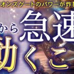 【見逃さないで⚠️】ライオンズゲートのエネルギーがあなたを運命を動かす‼️この瞬間からすべてが変わります…個人鑑定級深掘りリーディング［ルノルマン/タロット/オラクルカード］