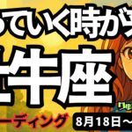 【牡牛座】♉️2025年8月18日の週♉️自分に厳しい時。でも実っていく時が来た。そして誰かに助けられる時。おうし座。タロットリーディング