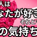 【建前ナシのガチ鑑定！】あの人はあなたが好き？それとも別の感情？恋愛タロット占い❤️｜ルノルマン｜オラクルカード細密リーディング