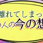 【タロット占い】今は逢えないあの人のあなたへの想い