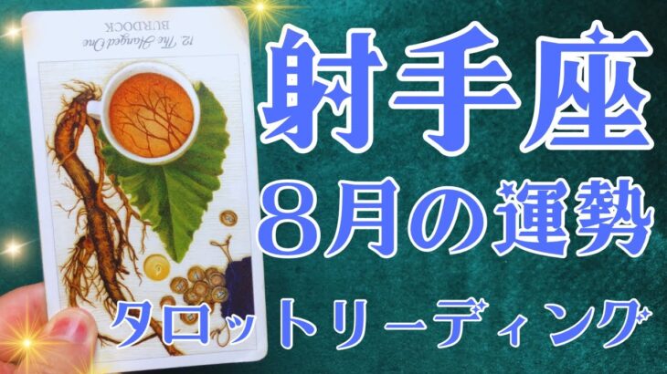 射手座さん♐️2025年8月の運勢タロットリーディング✨仕事運・金運・対人運も見ました✨