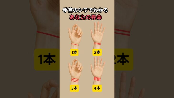 手首のシワに刻まれた運命と寿命