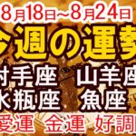 【今週の運勢 2025年8月18日から8月24日】射手座　山羊座　水瓶座　魚座｜恋愛 金運 好調日 開運のポイント