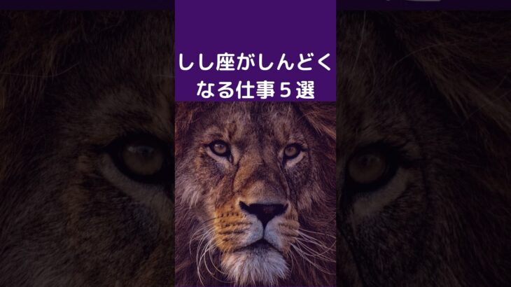 獅子座が仕事でしんどくなる理由5選 | しし座が疲れる仕事|仕事で感じるストレス #星座占い #占い #獅子座