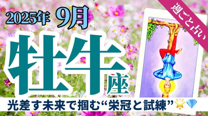 【牡牛座9月】忍耐の先に後光が差し✨栄冠👑を手にしたあなたへ舞い込む挑戦‼️💐💎タロット&オラクル《週ごと》