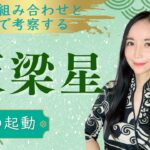 天梁星【紫微斗数星解説】中級