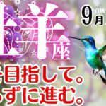 牡羊座♈2025年9月☆光を目指して。焦らずに進む。