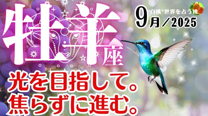 牡羊座♈2025年9月☆光を目指して。焦らずに進む。