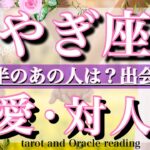 山羊座♑︎8月後半の恋愛・人間関係&出会い💫タロットリーディングtarot  reading love &relationship