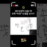 [사주] 살인상생 사주가 느끼는 힘듦이란? 🤔