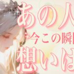 タロット占い恋愛【出た〜💕○のカード💖】お相手の今この瞬間の想いは？🌸見応えある動画✨会話式