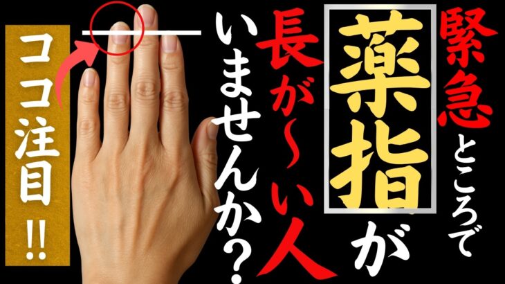 【手相】衝撃‼⚠️徳が溜り過ぎている人の魂の見分け方‼人差し指より薬指が長い人の真実