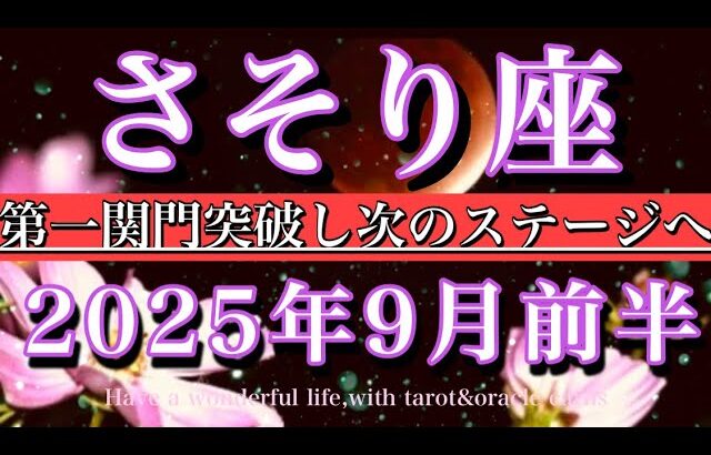 さそり座♏︎2025年9月前半タロットリーディング💫第一関門突破し次のステージへ　Scorpio tarot reading
