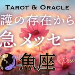 【魚座♓️Pisces】あなたを見護る存在から緊急です💌どうしても伝えたい、ただひとつのこと。タロット＆オラクル／tarot＆Oracle card reading