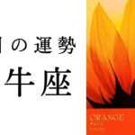 【牡牛座🌷8月の運勢】最強カードが勢揃い‼️ここから昇り竜のように運気が上がっていきます🐉✨2025年タロット占い