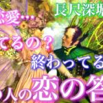 【🦋長尺深堀鑑定💞】この恋愛、続いてるの？終わってるの？あの人の恋の答え🦋