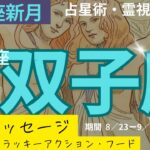 (占星術・霊視タロット♊️双子座)8/23乙女座新月丸分かり🌚リーディング&ラッキーアクション・フード