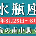 水瓶座 【 みずがめ座 ♒ 】週間リーディング( 2025年 8月25日の週) ♒神展開！水瓶座の嬉しい変化が加速する週✨🔑 水瓶座 2025年8月 タロット占い