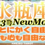水瓶座♒️とにかく自由‼️お金も心も自由な生活へ🎊🕊️【10分リーディング】
