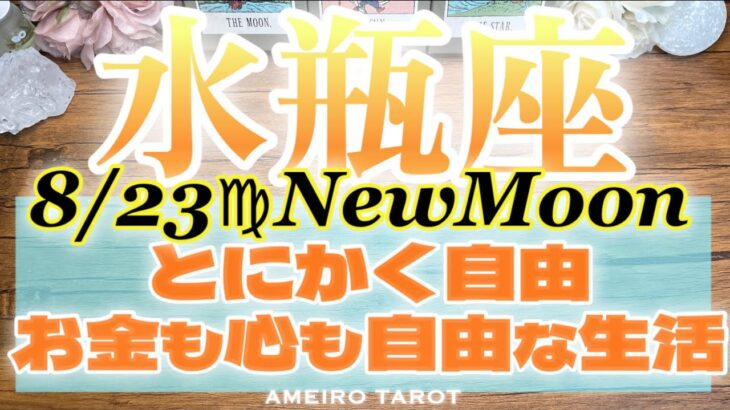 水瓶座♒️とにかく自由‼️お金も心も自由な生活へ🎊🕊️【10分リーディング】