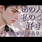 ⚠️ピリ辛あり⚠️あの人は私のこと好き？占い💖恋愛・片思い・復縁・複雑恋愛・好きな人・疎遠・タロット・オラクルカード