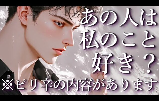 ⚠️ピリ辛あり⚠️あの人は私のこと好き？占い💖恋愛・片思い・復縁・複雑恋愛・好きな人・疎遠・タロット・オラクルカード