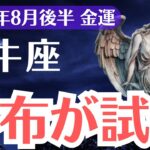 【牡牛座】2025年8月後半、おうし座の金運、財布が試練…知らないと失う大チャンスと隠された救い