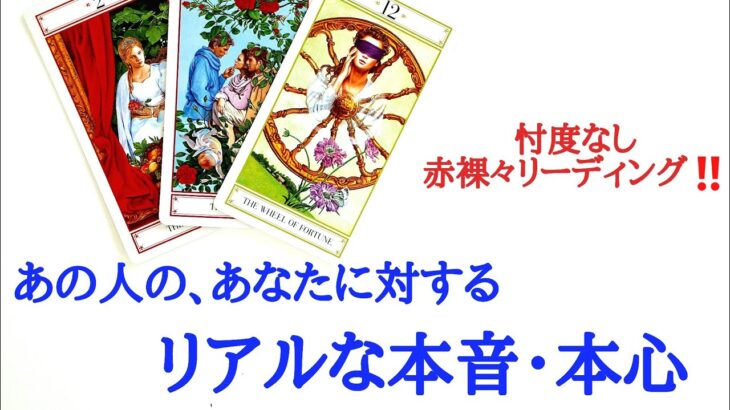 🌹恋愛タロット占い🌹赤裸々リーディングややピリ辛あります‼️あの人のあなたに対するリアルな本音本心 お相手の現状 あなたへの気持ち 本音本心 アドバイスetc..