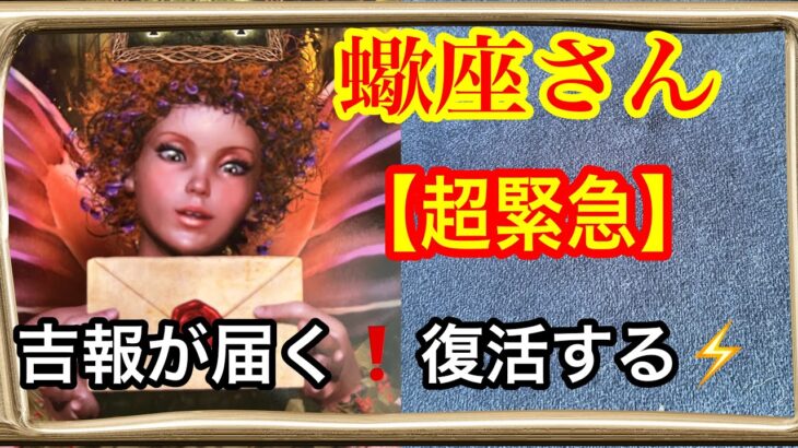 【目に止まった蠍座さんへ⚡️】９月は吉報が届く❗️復活の時でもあり😱本当にすごい時期にいます🩷ガッツリ読み解きました🃏