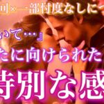 【🦋一部神回×一部忖度なしにつき辛口💞】「気づいてほしい…」と、あなたに向けられた“特別な感情”🦋