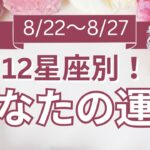 【今週の運勢は？】8/22～8/27 12星座運勢リアルタイム鑑定🌈🐇✨【開運占い師と振り返る1週間】最近あった良いこと、嬉しいこと教えて～！