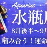 みずがめ座♒️2025年8月後半〜9月前半🌝 予想以上に上手くいく！まだまだ出てくる可能性、意外すぎて驚くしかない、希望が後押し、安堵する
