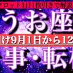 魚座♓︎休み明け9月1日から12日まで【仕事・チャンス】1日単位でタロットリーディング💫成功？転機は？