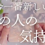 【最新💗本音】鳥肌。お相手の“強い気持ち”が入ってきました…😭❤️‍🩹【恋愛タロット】【あの人の気持ち】